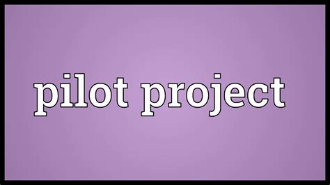 pilot project meaning